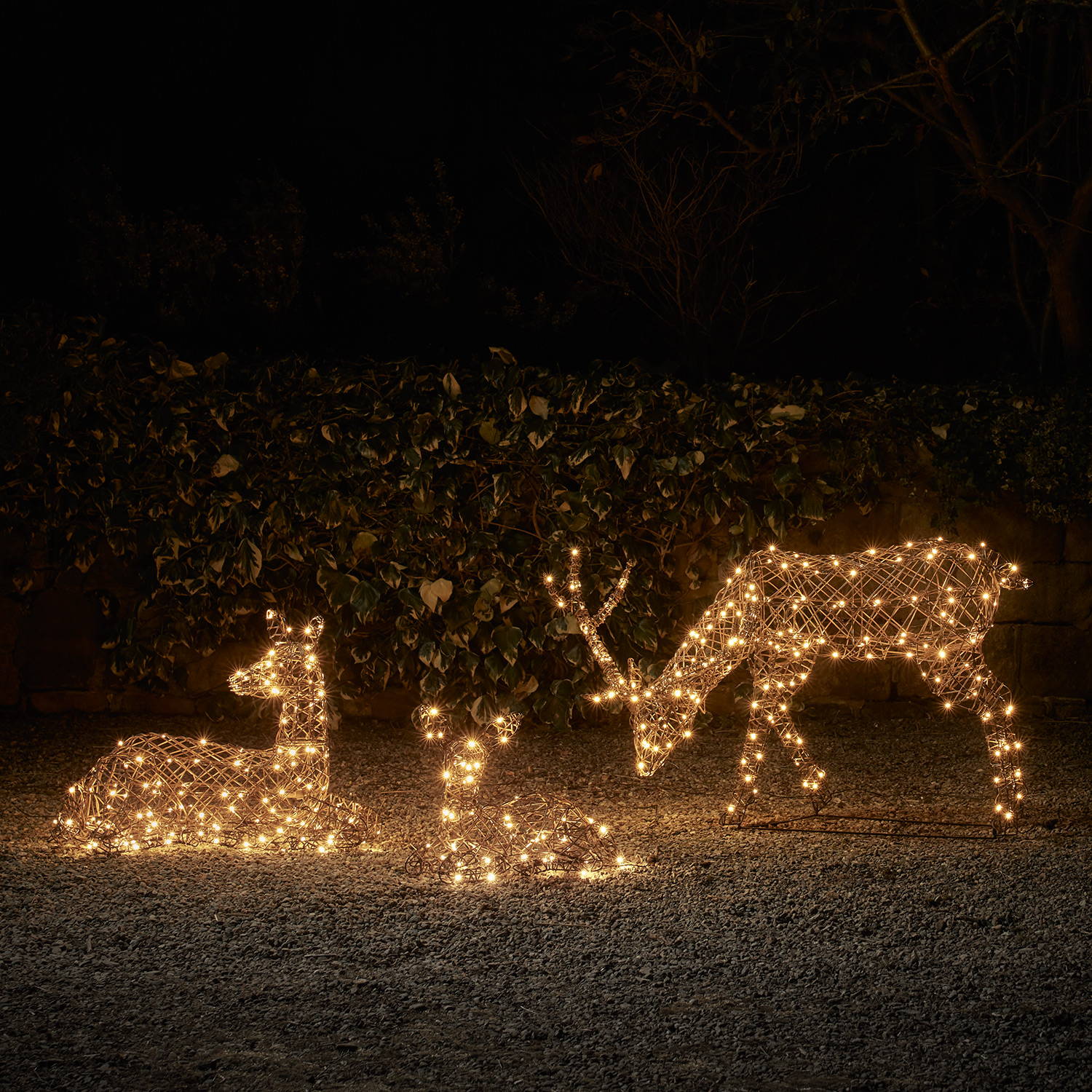  Trio de Rennes de Noël Studley en Rotin