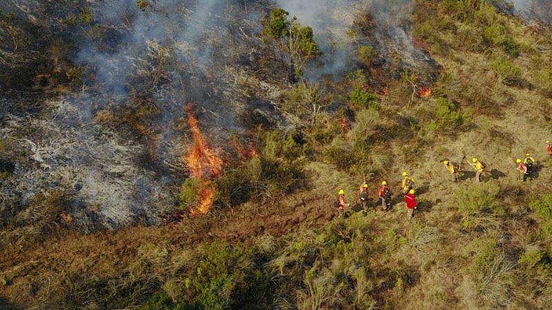 Fires Pix4Dreact