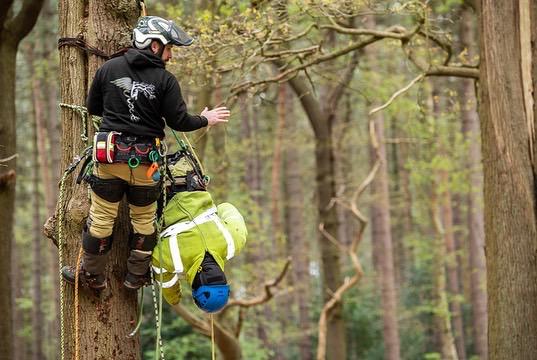 A tree climber using safety gear among trees.