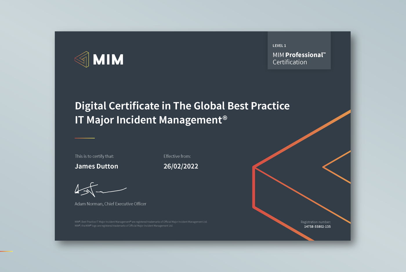 MIM Professional sample certificate