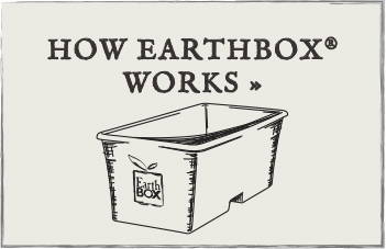 How EarthBox Works