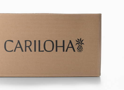 Cariloha shipping box