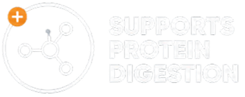 Supports protein digestion with molecular graphic.