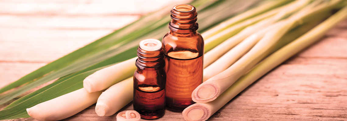Bottles of essential oil beside fresh lemongrass stalks on a wooden surface.