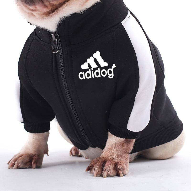 dog adidas sweatshirt