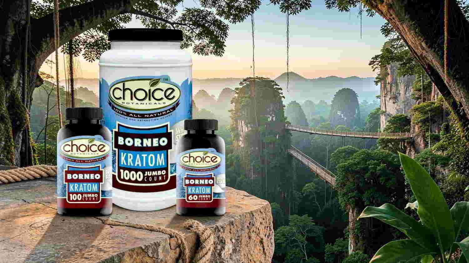 Bottles of choice supplements displayed in a lush, outdoor setting.