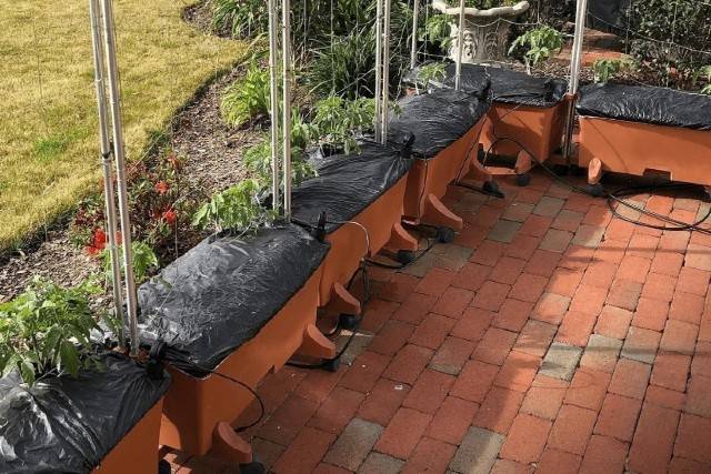 Several self-watering planting boxes