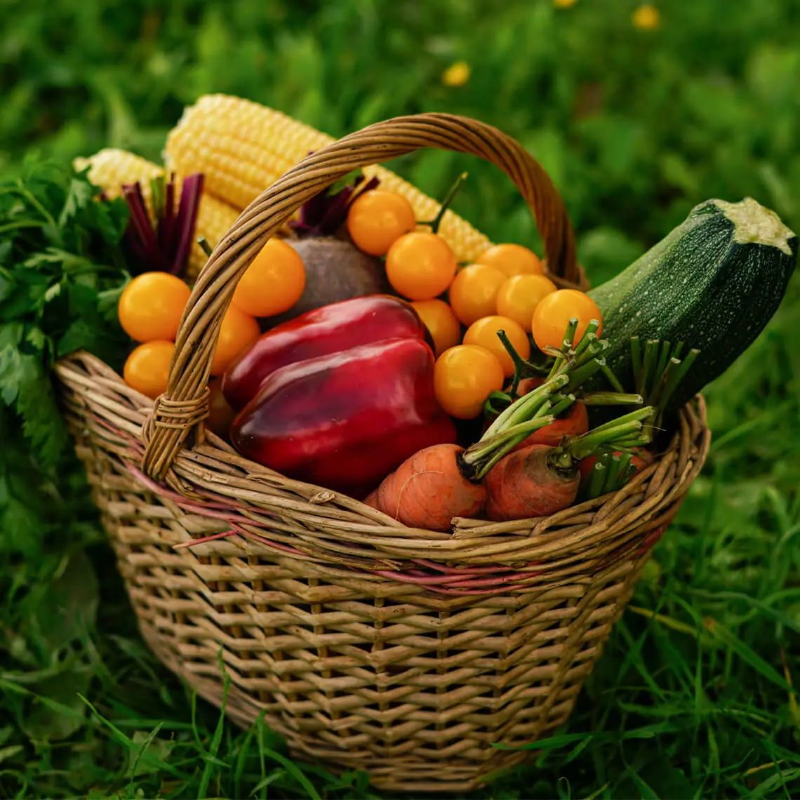 Fresh seasonal fruits and vegetables for holistic health