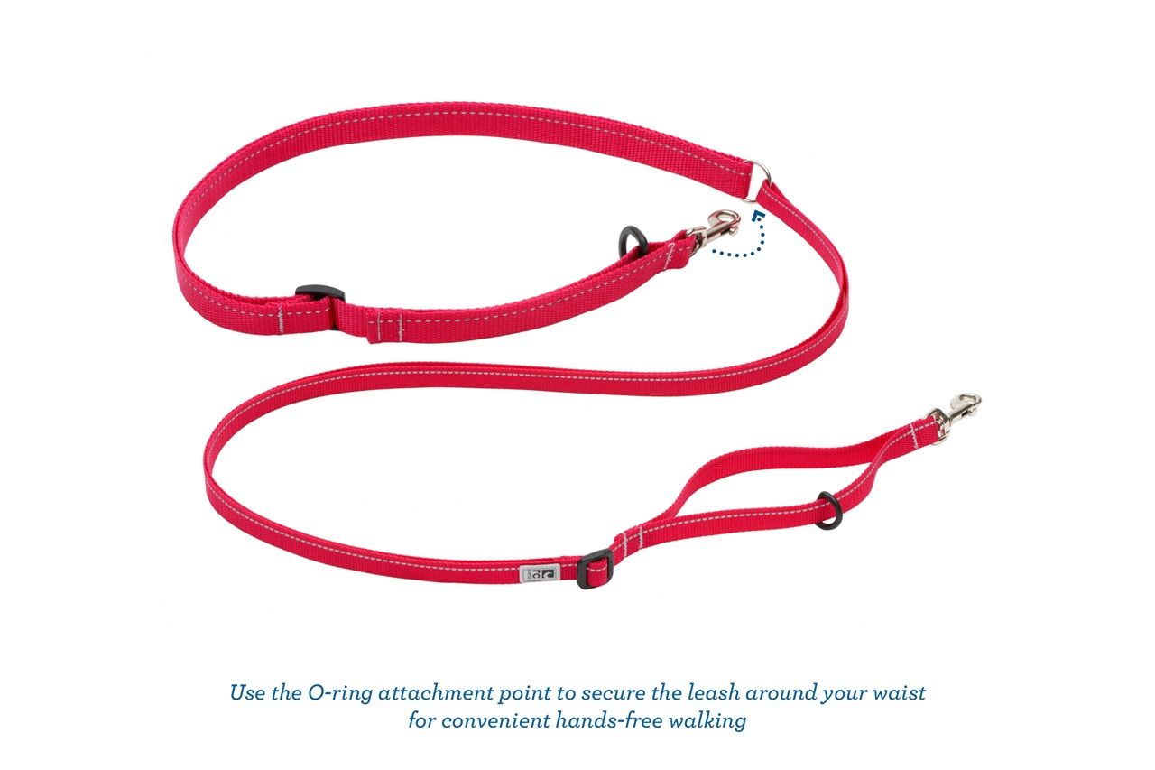 Red dog leash with attachment points for harness or collar.