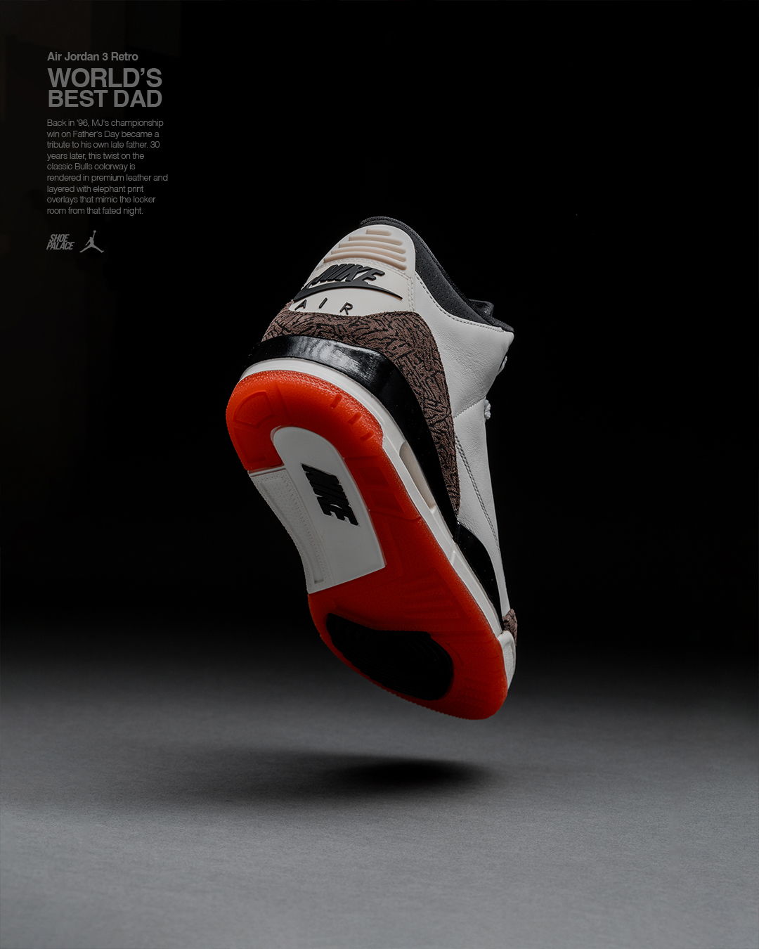 Air Jordan sneaker floating above a dark background with text.