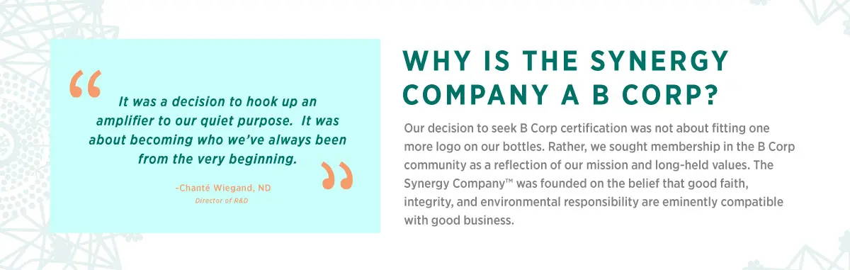 Why is the Synergy Company a B Corp? Our decision to seek B Corp certification was not about fitting one more logo on our bottles. Rather, we sought membership in the B Corp community as a reflection of our mission and long-held values. The Synergy Company was founded on the belief that good faith, integrity, and environmental responsibility are eminently compatible with good business.