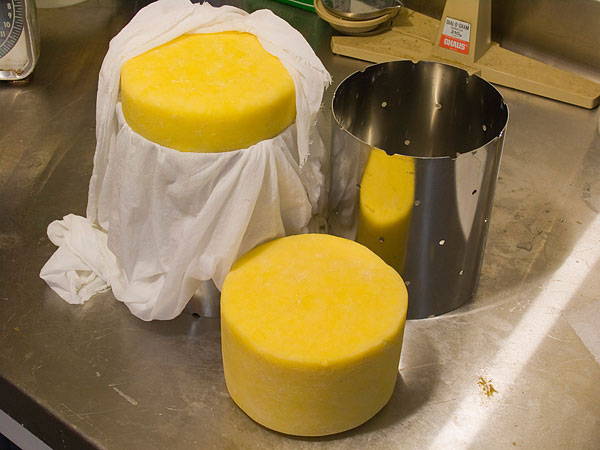 Settling the Cheese Wax Controversy
