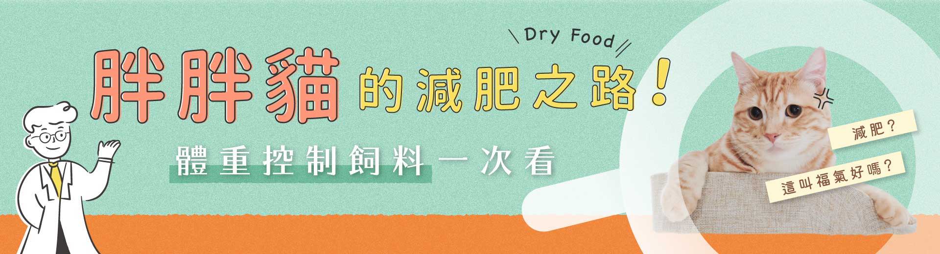 2021減肥貓貓飼料推薦！胖胖貓的體重控制之路｜毛起來．寵你與毛孩多更 