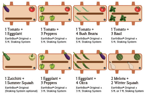 Companion planting infographic for EarthBox Original container gardening system