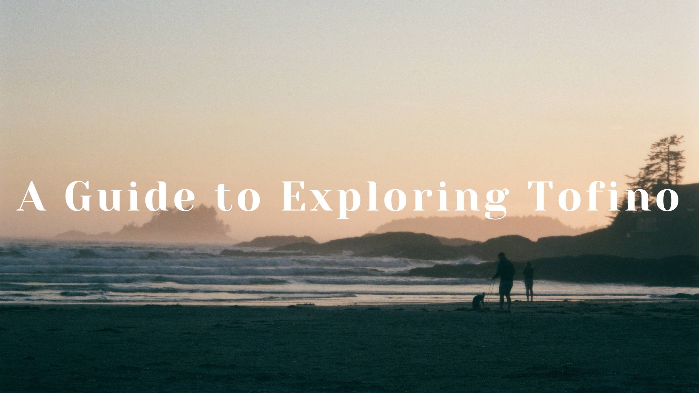 Things to do in Tofino