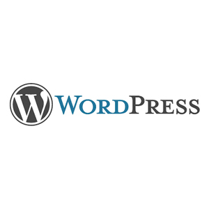 Wordpress-Webdesign