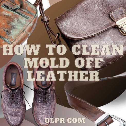 how to delete mold from leather