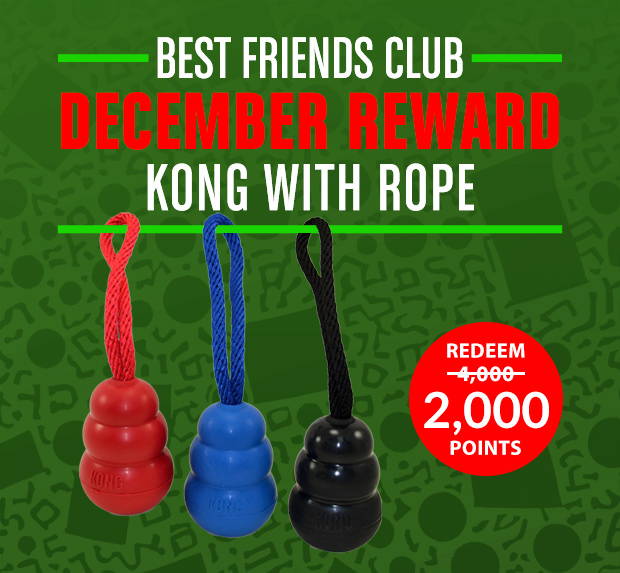 December Rotating Reward