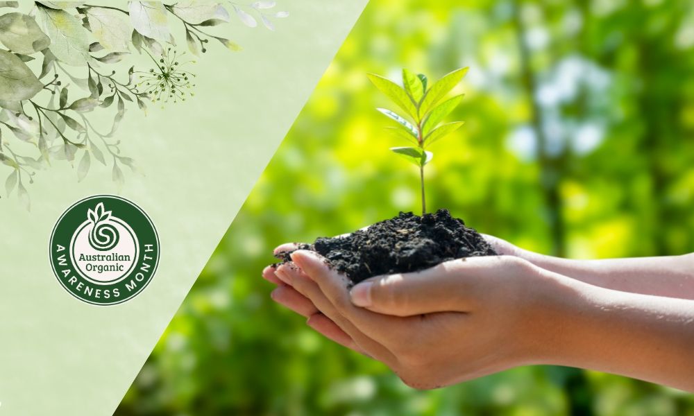 Hands holding soil with a small plant against a green background.