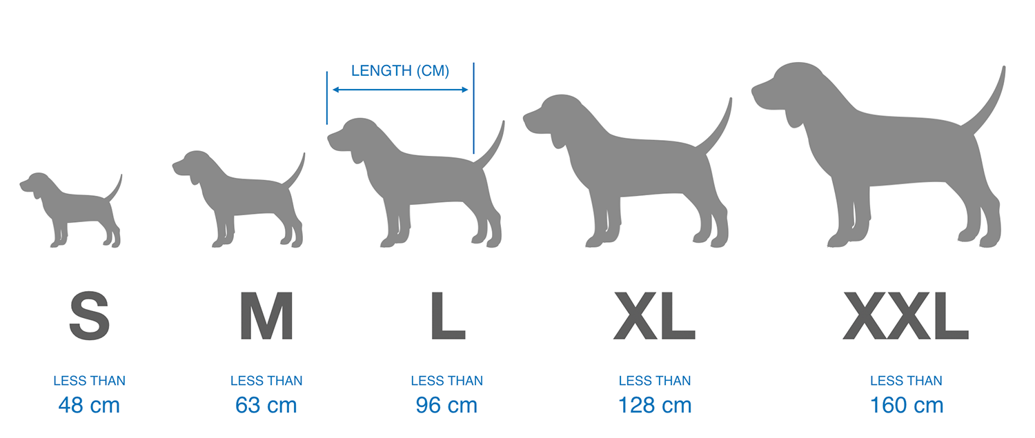 Dog Bed Sizes Small Medium Large Barney Dog Beds