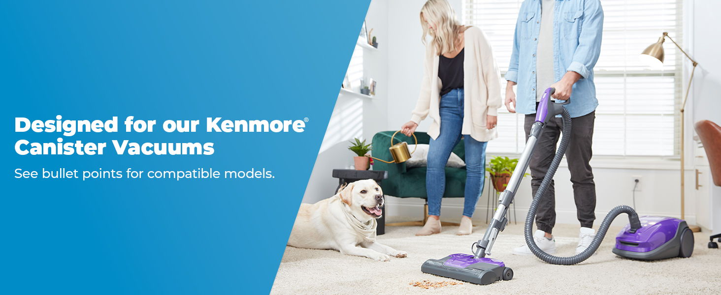 Person vacuuming with Kenmore canister vacuum in a living room with a dog.