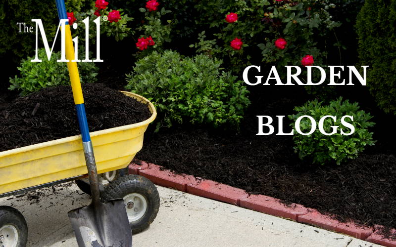 A poly cart with mulch and a shovel next to a newly landscaped border with red flowers, shrubs and fresh mulch