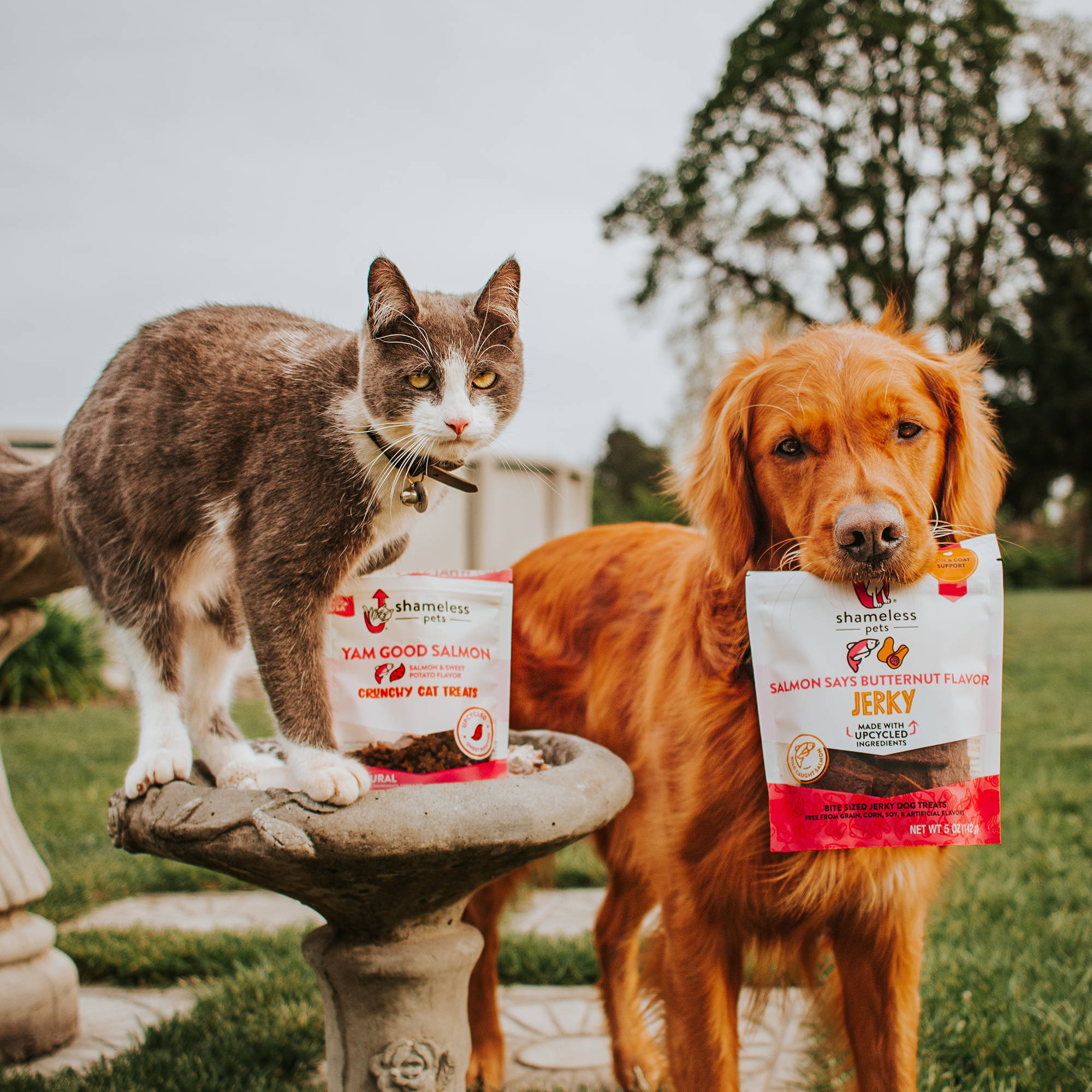 Shameless affiliates spread the word of our cat and dog treats 