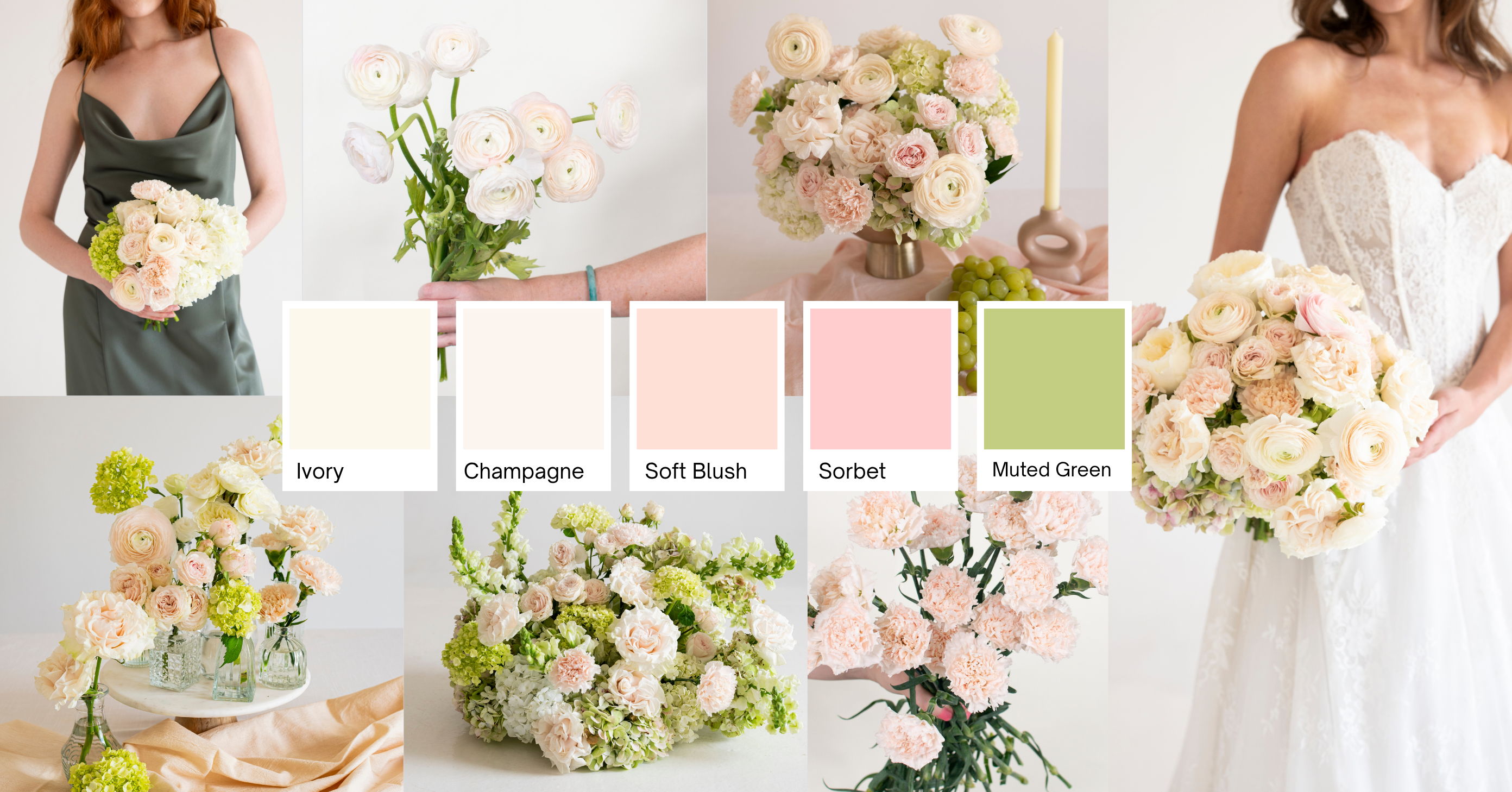 Blushing Hydrangea