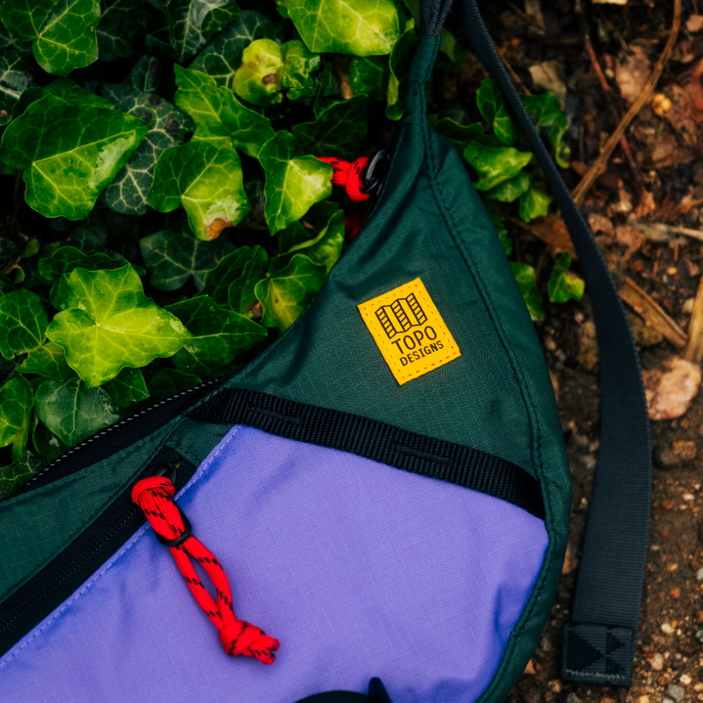 Colorful backpack resting on green ivy leaves.