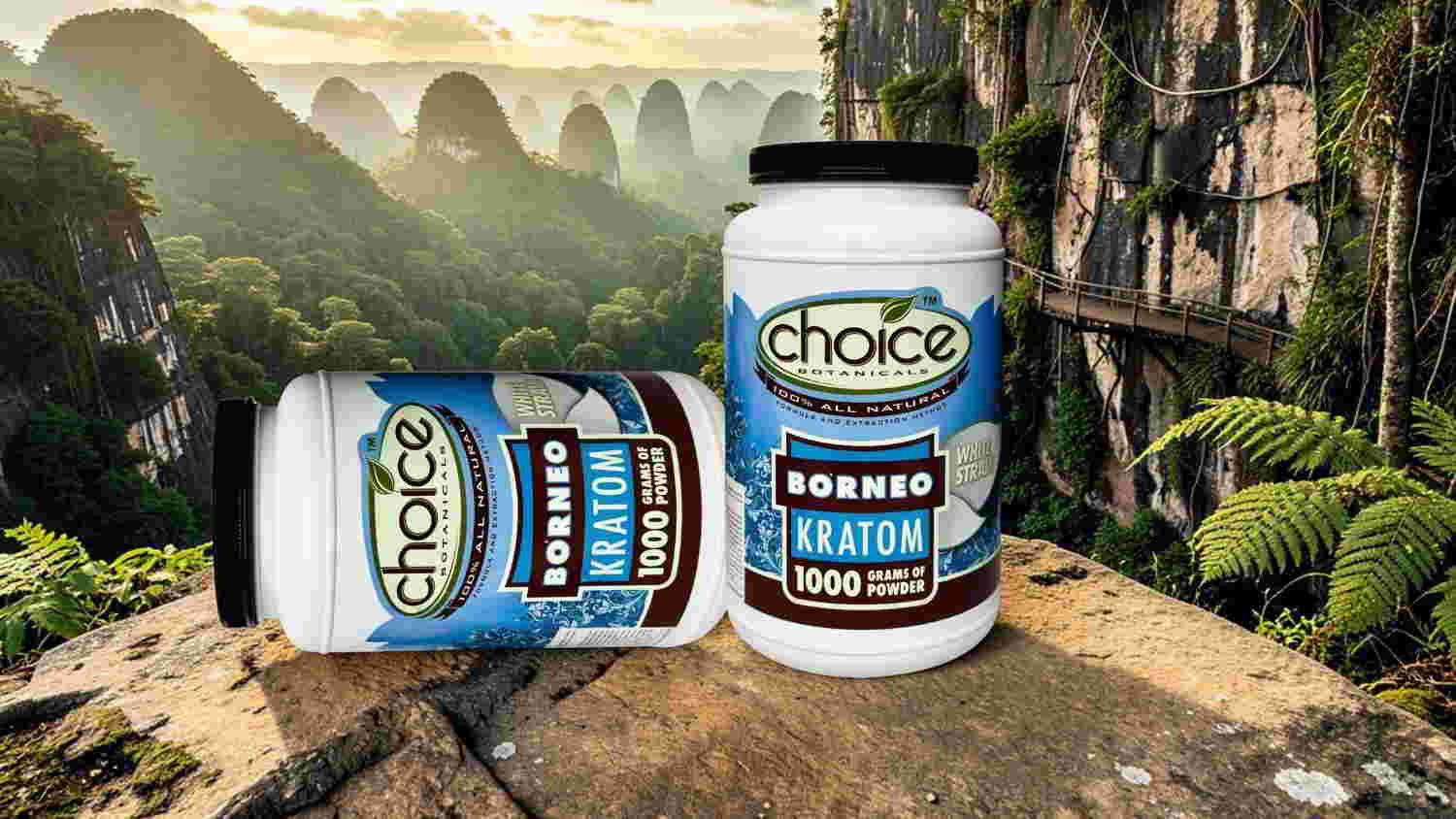 Two containers of Choice protein powder on a rocky surface in a lush landscape.