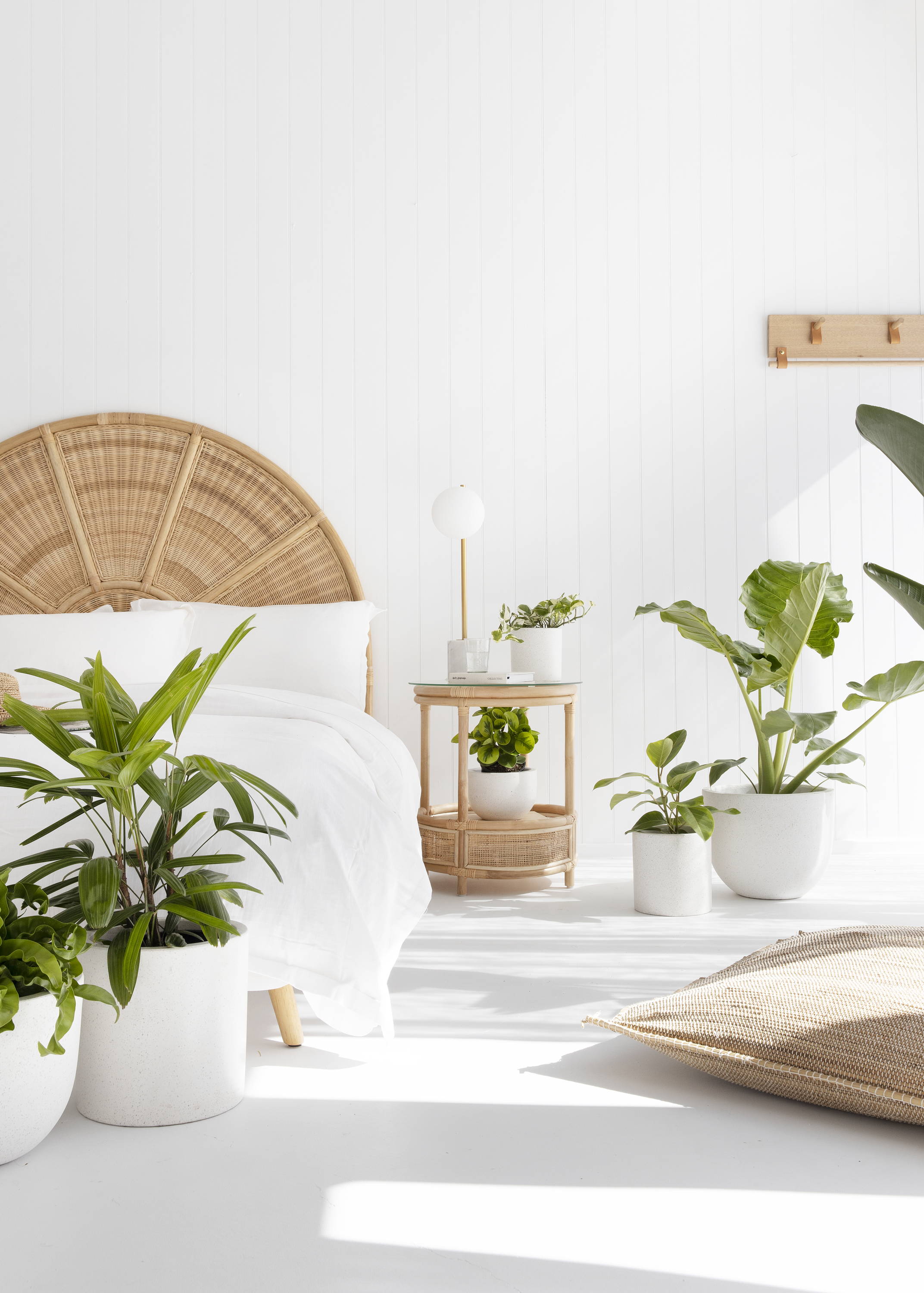 Groups of Indoor Plants in Bedroom at The Good Plant Co