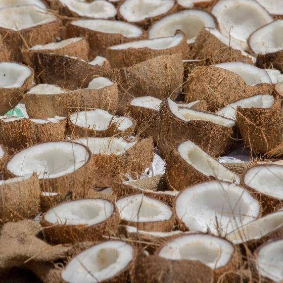 Group of many open coconut shells