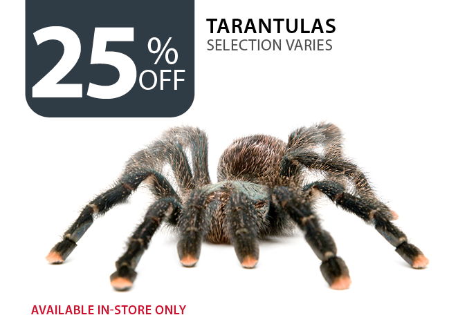 25% off Tarantulas. Selection varies. Available in-store only.