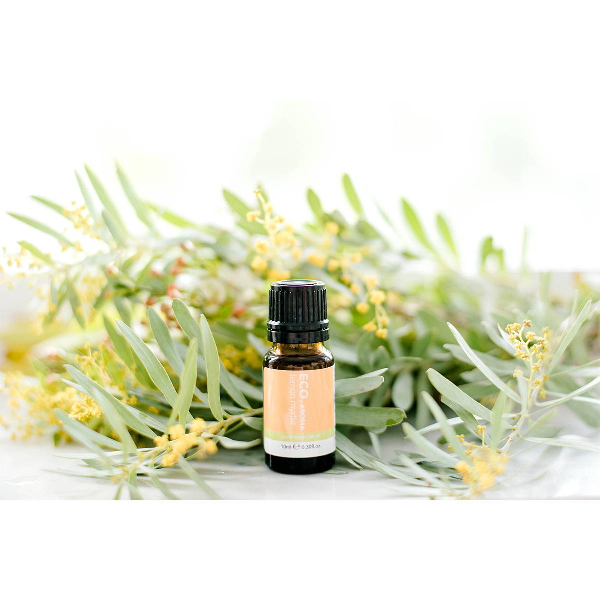lemon myrtle essential oil