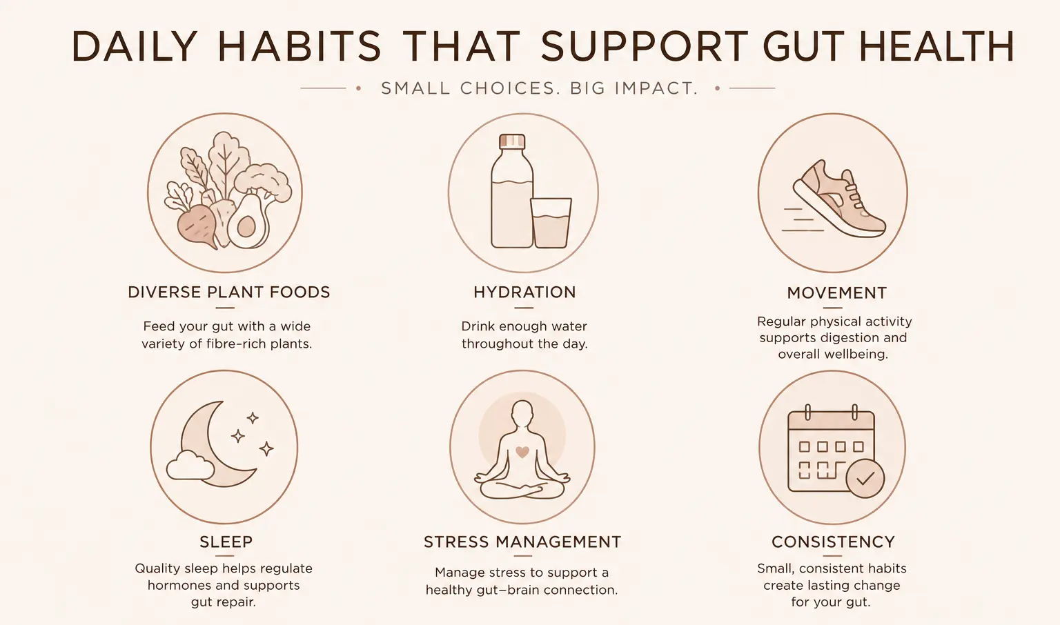 Daily habits that support gut health: plant foods, hydration, movement, sleep, stress management.