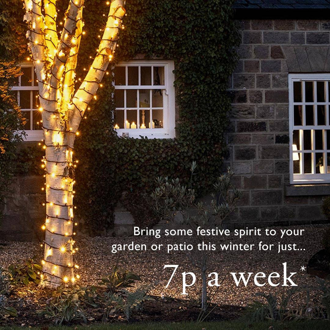 Bring some festive spirit to your garden or patio this winter for just 7p a week.