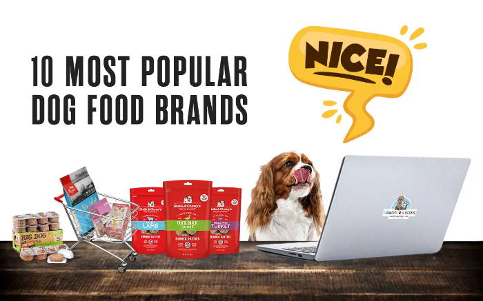 10 most popular dog food brands blog.