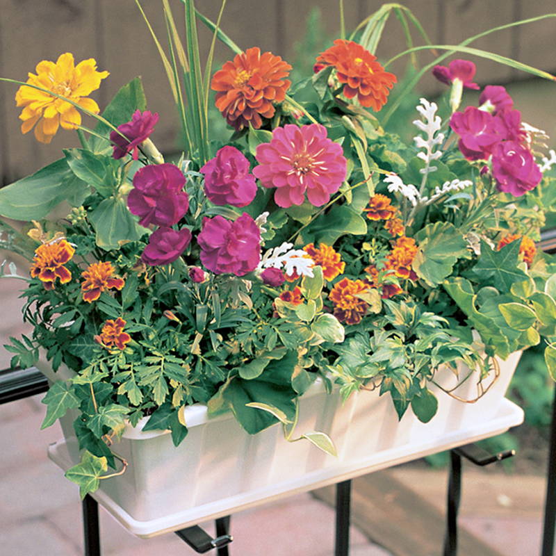 Flowers in a white Poly-Pro flower box with a white countryside flower box tray underneath