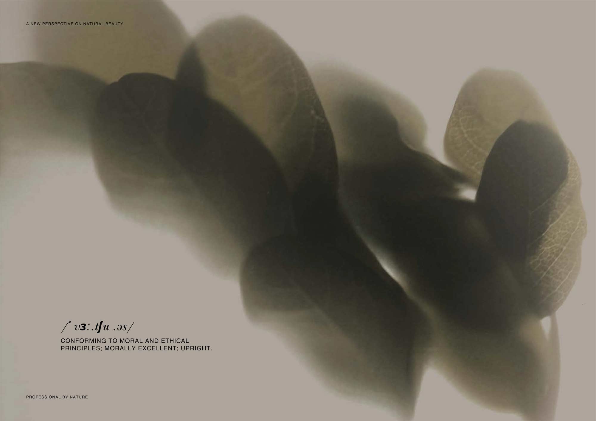 PREVIA Hair Products - Viruous Beauty