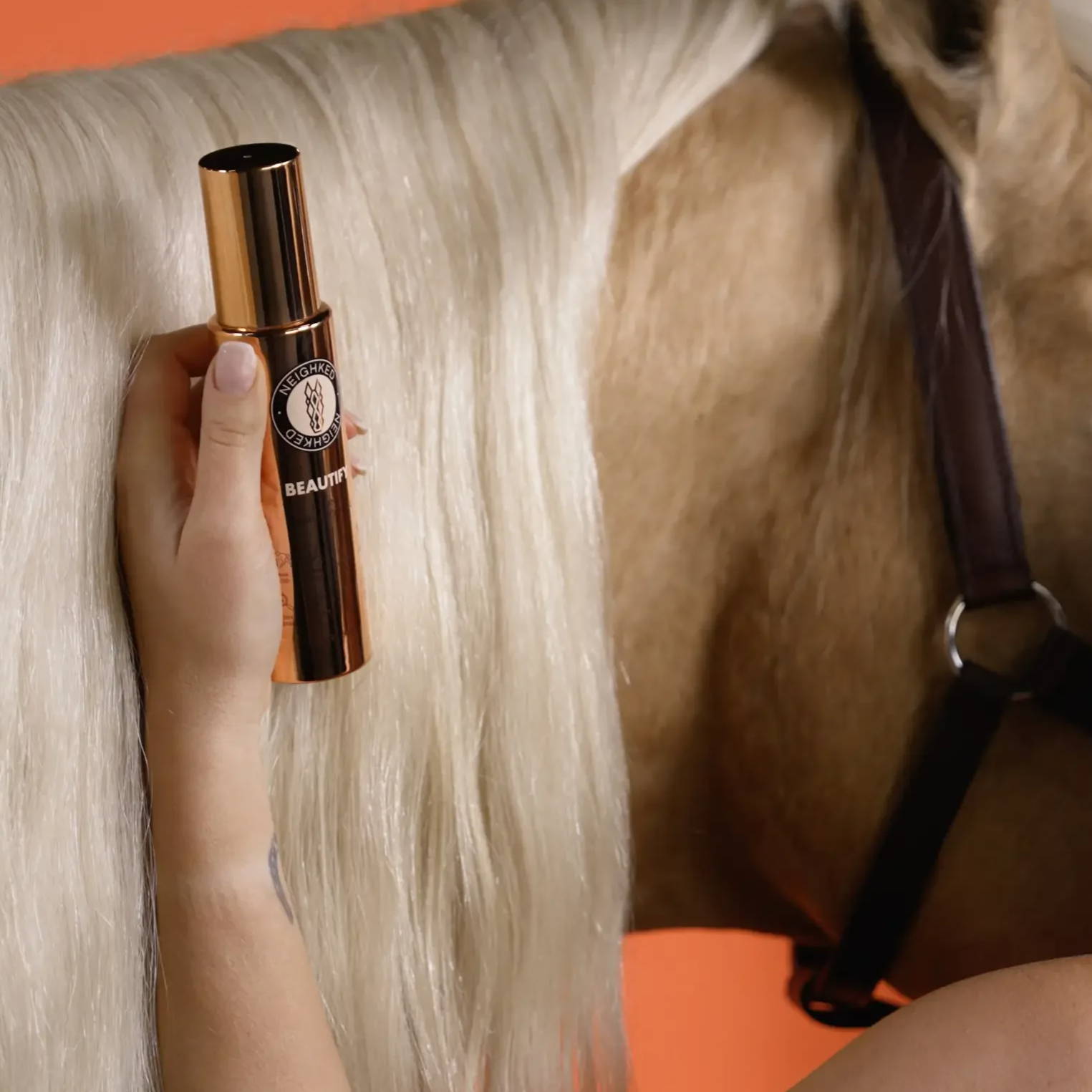 BEAUTIFY near a horse's head against an orange background.