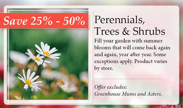 Perennials, Trees and Shrubs – Save 25% - 50%! Fill your garden with summer blooms that will come back again and again, year after year. Some exceptions apply. Product varies by store. | Offer excludes: Greenhouse Mums and Asters.