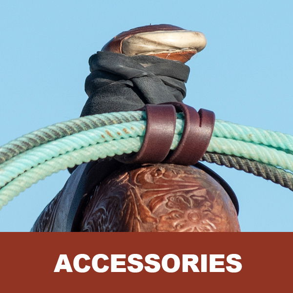 Close-up of a saddle horn with ropes and accessories.
