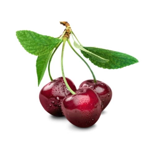 Can Dogs Eat Cherries? Are Cherries safe for dogs to eat, can dogs eat fruit, bone idol