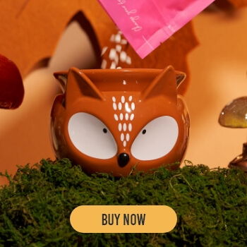 Owl-shaped mug surrounded by moss and mushrooms, with a 