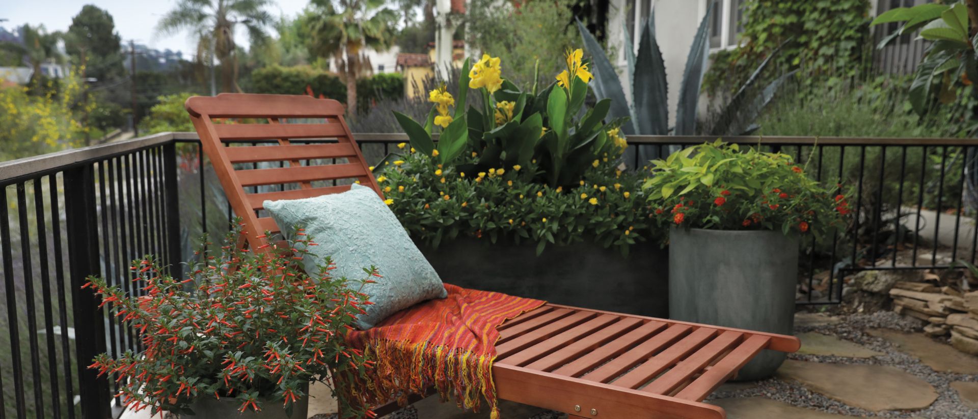 Patio container garden featuring Vermillionaire® Large Firecracker Plant with vibrant orange-red tubular blooms, yellow canna flowers, and chartreuse foliage surrounding a wooden lounge chair.