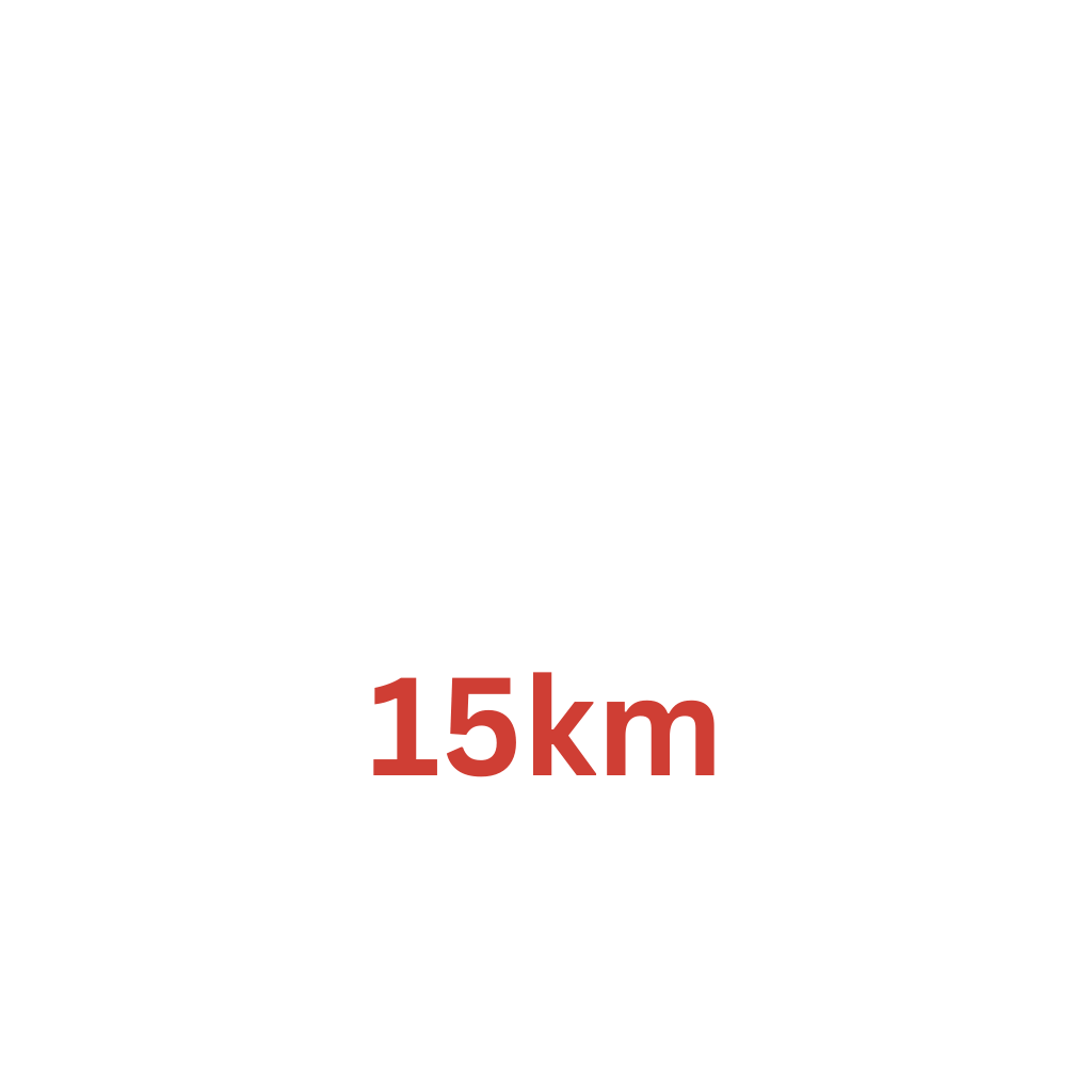 15km HD Video Transmission
