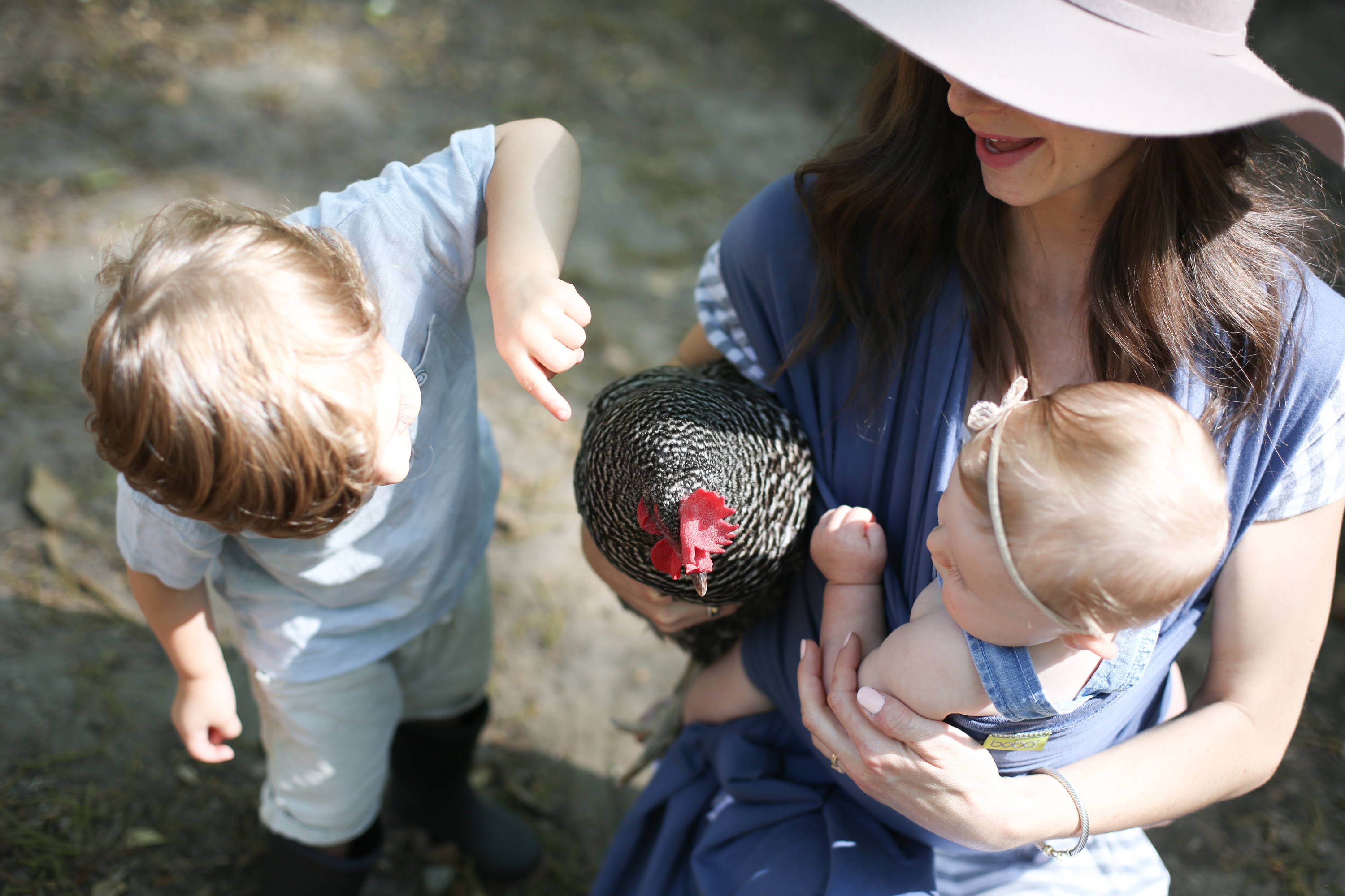 Mom having fun with a baby and toddler and their chicken at a farm