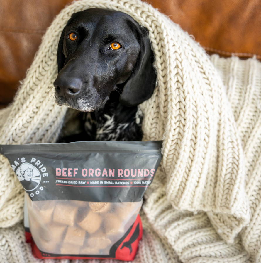 Black dog looking at the camera with a white crochet blanket on head next to dog treats.