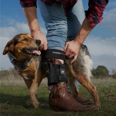 concealed carry ankle holster
