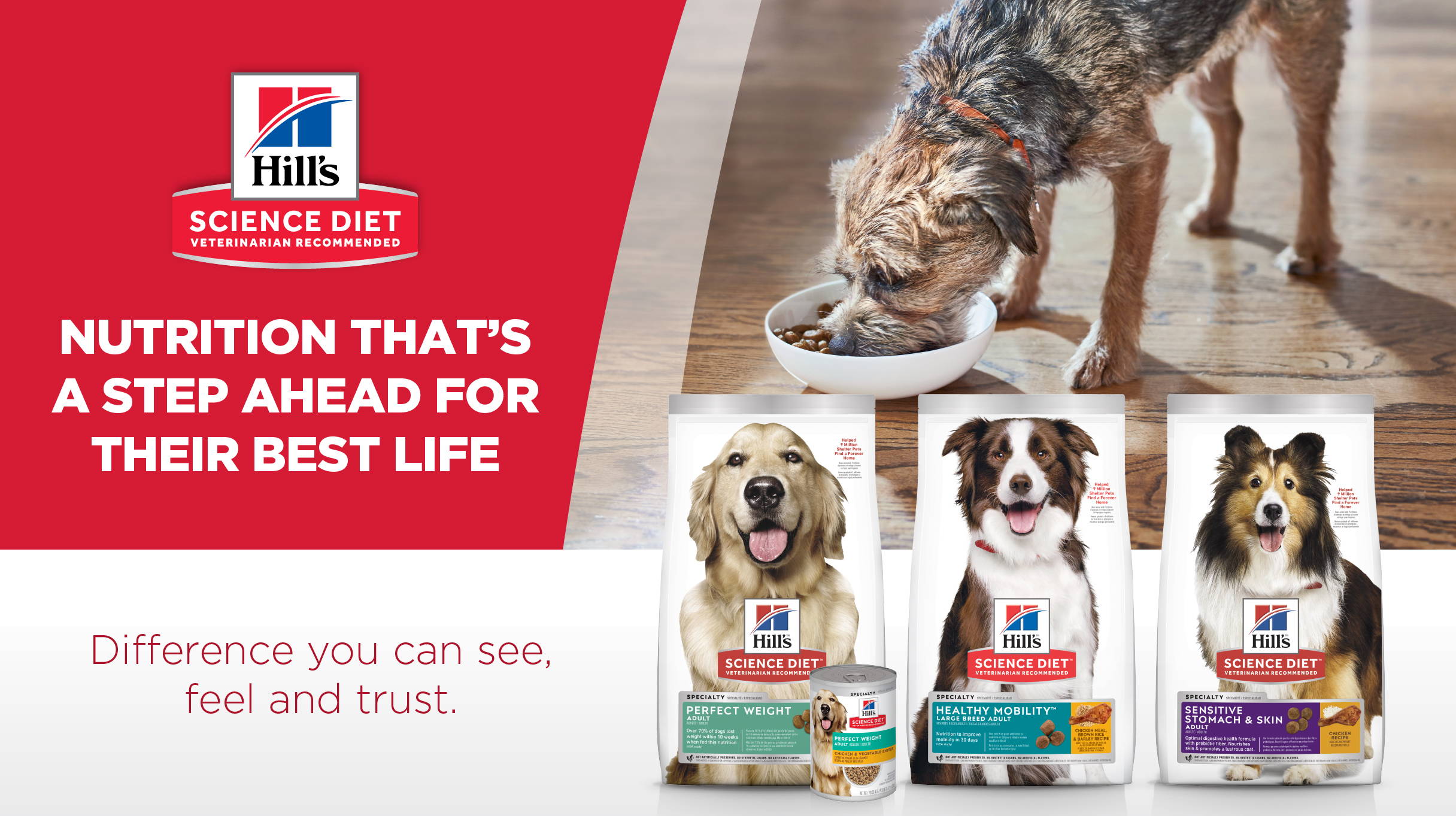 Hill's Science Diet Specialty Dog  Food